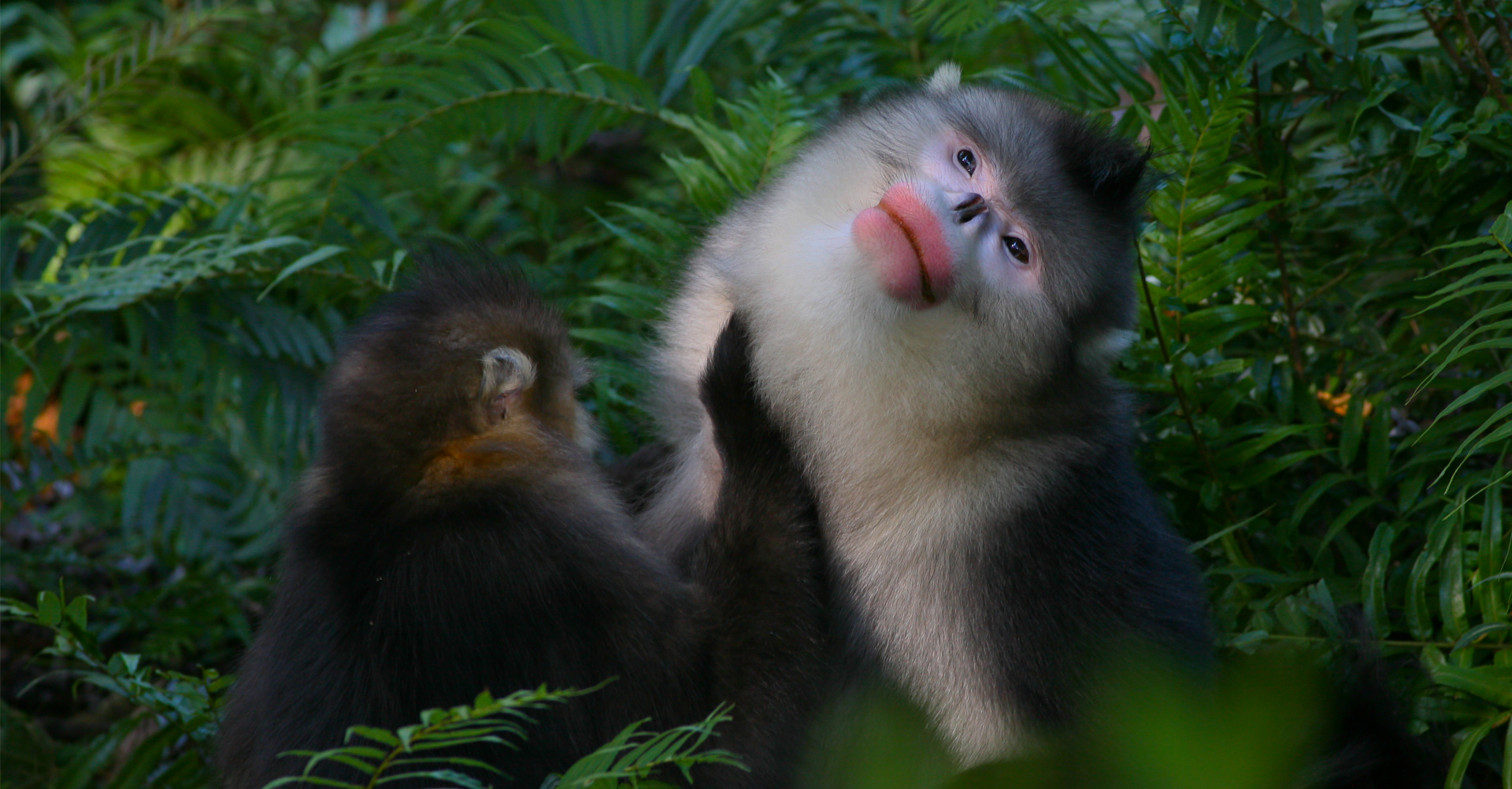 云南省綠色環(huán)境發(fā)展基金會(huì)